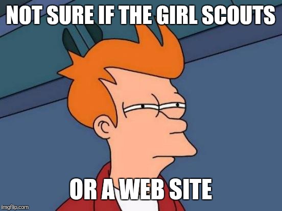 Futurama Fry Meme | NOT SURE IF THE GIRL SCOUTS OR A WEB SITE | image tagged in memes,futurama fry | made w/ Imgflip meme maker