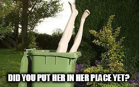 woman in a bin | DID YOU PUT HER IN HER PLACE YET? | image tagged in woman in a bin | made w/ Imgflip meme maker