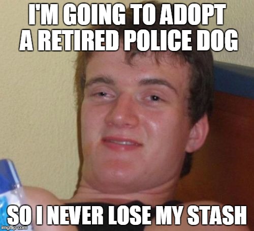 10 Guy Meme | I'M GOING TO ADOPT A RETIRED POLICE DOG; SO I NEVER LOSE MY STASH | image tagged in memes,10 guy | made w/ Imgflip meme maker