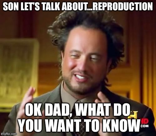 Ancient Aliens | SON LET’S TALK ABOUT...REPRODUCTION; OK DAD, WHAT DO YOU WANT TO KNOW | image tagged in memes,ancient aliens | made w/ Imgflip meme maker