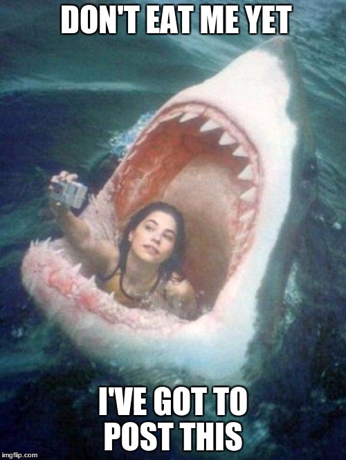 Shark | DON'T EAT ME YET; I'VE GOT TO POST THIS | image tagged in shark | made w/ Imgflip meme maker