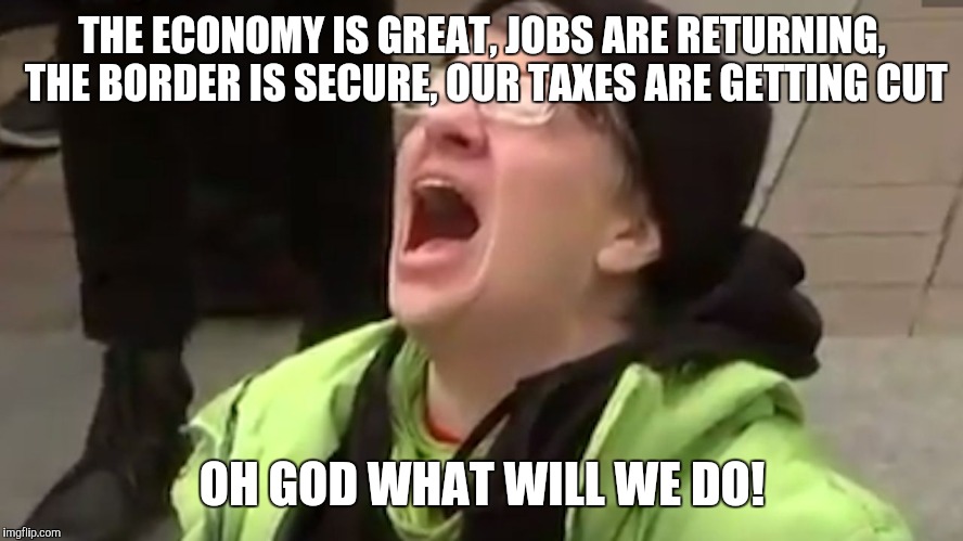 Screaming Liberal  | THE ECONOMY IS GREAT, JOBS ARE RETURNING, THE BORDER IS SECURE, OUR TAXES ARE GETTING CUT; OH GOD WHAT WILL WE DO! | image tagged in screaming liberal | made w/ Imgflip meme maker