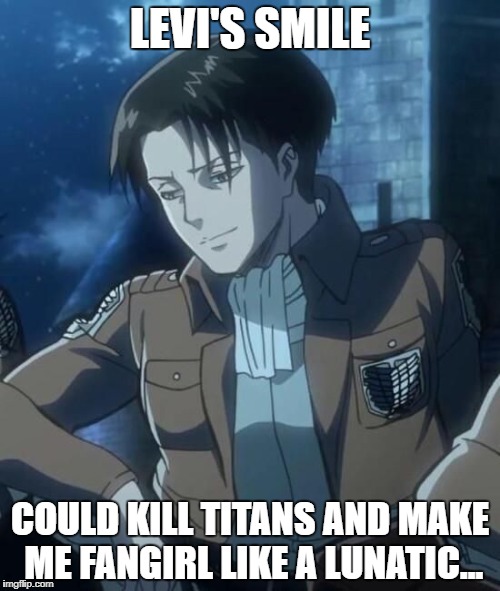 levi | LEVI'S SMILE; COULD KILL TITANS AND MAKE ME FANGIRL LIKE A LUNATIC... | image tagged in levi | made w/ Imgflip meme maker