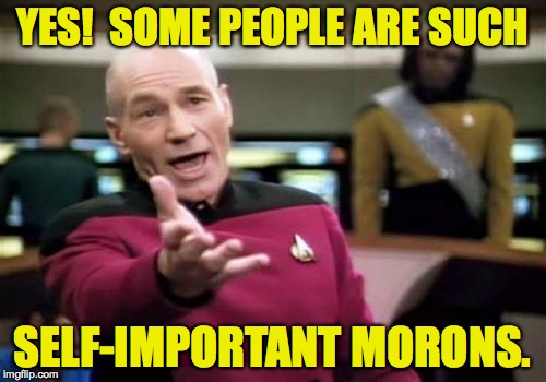 Picard Wtf Meme | YES!  SOME PEOPLE ARE SUCH SELF-IMPORTANT MORONS. | image tagged in memes,picard wtf | made w/ Imgflip meme maker