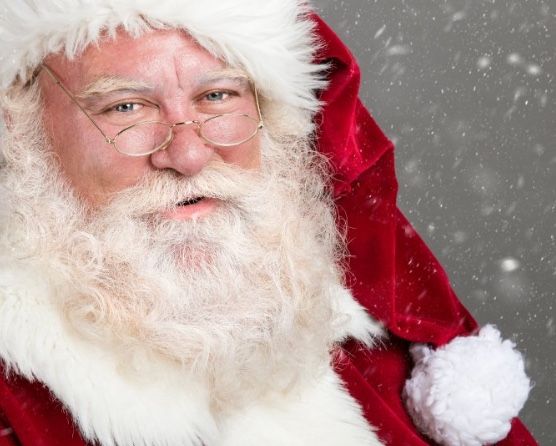Ho ho Hodl Blank Meme Template