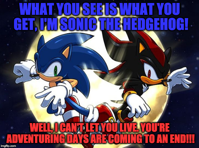 WHAT YOU SEE IS WHAT YOU GET, I'M SONIC THE HEDGEHOG! WELL, I CAN'T LET YOU LIVE. YOU'RE ADVENTURING DAYS ARE COMING TO AN END!!! | image tagged in sonic and shadow | made w/ Imgflip meme maker