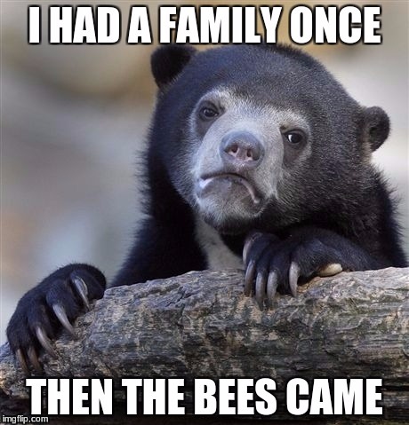 The bees | image tagged in confession bear,ssokol01 | made w/ Imgflip meme maker