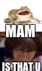 Teacher looks like un frog | image tagged in funny memes,toodank,ssokol01 | made w/ Imgflip meme maker