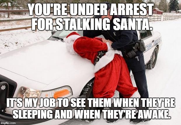 Santa Busted | YOU'RE UNDER ARREST FOR STALKING SANTA. IT'S MY JOB TO SEE THEM WHEN THEY'RE SLEEPING AND WHEN THEY'RE AWAKE. | image tagged in santa busted | made w/ Imgflip meme maker