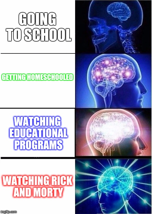 How to Get Smarter | GOING TO SCHOOL; GETTING HOMESCHOOLED; WATCHING EDUCATIONAL PROGRAMS; WATCHING RICK AND MORTY | image tagged in memes,expanding brain | made w/ Imgflip meme maker