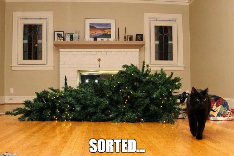SORTED... | image tagged in christmas cat | made w/ Imgflip meme maker