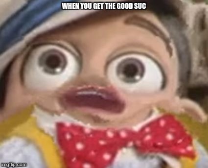 Stingy's succ | WHEN YOU GET THE GOOD SUC | image tagged in stingy's succ | made w/ Imgflip meme maker