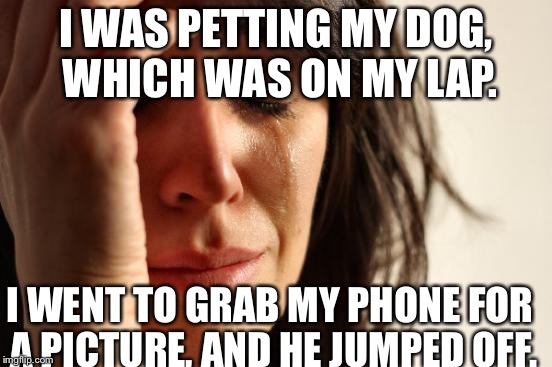 First World Problems Meme | I WAS PETTING MY DOG, WHICH WAS ON MY LAP. I WENT TO GRAB MY PHONE FOR A PICTURE, AND HE JUMPED OFF. | image tagged in memes,first world problems | made w/ Imgflip meme maker