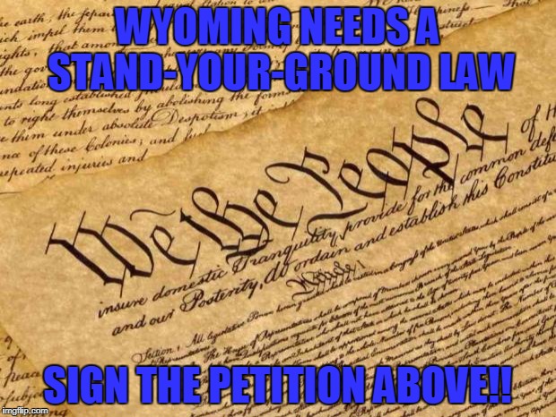 Constitution | WYOMING NEEDS A STAND-YOUR-GROUND LAW; SIGN THE PETITION ABOVE!! | image tagged in constitution | made w/ Imgflip meme maker