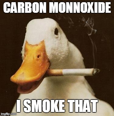 Smoking Duck | CARBON MONNOXIDE; I SMOKE THAT | image tagged in smoking duck | made w/ Imgflip meme maker