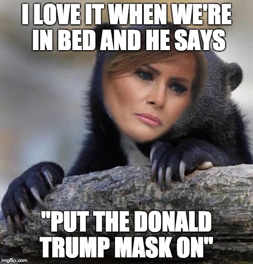 Donald Trump's Mask  | I LOVE IT WHEN WE'RE IN BED AND HE SAYS; "PUT THE DONALD TRUMP MASK ON" | image tagged in confession melania,memes | made w/ Imgflip meme maker