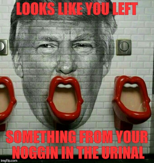 Donald Trump Urinal | LOOKS LIKE YOU LEFT SOMETHING FROM YOUR NOGGIN IN THE URINAL | image tagged in donald trump urinal | made w/ Imgflip meme maker