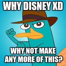  Perry the Platypus | Phineas and Ferb Wiki | Fandom powered by  | WHY DISNEY XD; WHY NOT MAKE ANY MORE OF THIS? | image tagged in perry the platypus  phineas and ferb wiki  fandom powered by,memes | made w/ Imgflip meme maker