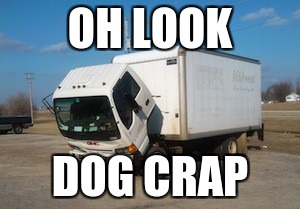 ...ok then | OH LOOK; DOG CRAP | image tagged in memes,okay truck | made w/ Imgflip meme maker