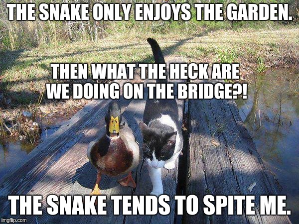Advice mallard to cat | THE SNAKE ONLY ENJOYS THE GARDEN. THEN WHAT THE HECK ARE WE DOING ON THE BRIDGE?! THE SNAKE TENDS TO SPITE ME. | image tagged in advice mallard to cat | made w/ Imgflip meme maker