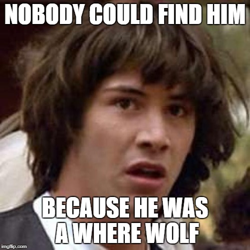 Conspiracy Keanu Meme | NOBODY COULD FIND HIM BECAUSE HE WAS A WHERE WOLF | image tagged in memes,conspiracy keanu | made w/ Imgflip meme maker