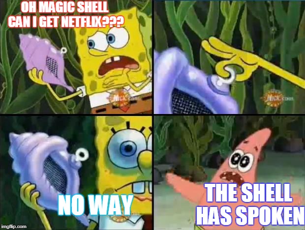 Spongebob | OH MAGIC SHELL CAN I GET NETFLIX??? NO WAY; THE SHELL HAS SPOKEN | image tagged in spongebob | made w/ Imgflip meme maker