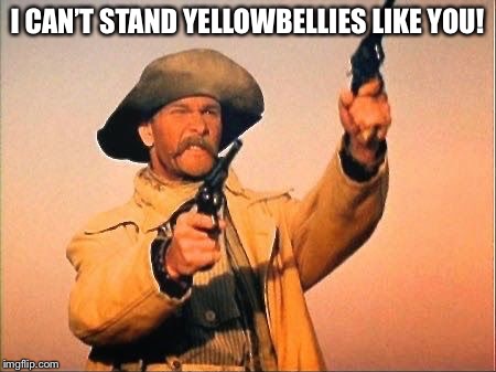 I Can’t Stand Yellowbellies Like You! | I CAN’T STAND YELLOWBELLIES LIKE YOU! | image tagged in pecos bill shooting,memes,disney,tall tale,patrick swayze,pecos bill | made w/ Imgflip meme maker