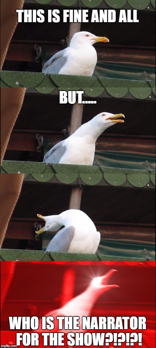 Inhaling Seagull Meme | THIS IS FINE AND ALL; BUT..... WHO IS THE NARRATOR FOR THE SHOW?!?!?! | image tagged in inhaling seagull | made w/ Imgflip meme maker