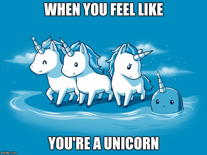 unicorns | WHEN YOU FEEL LIKE; YOU'RE A UNICORN | image tagged in unicorn,what,putin thats cute | made w/ Imgflip meme maker