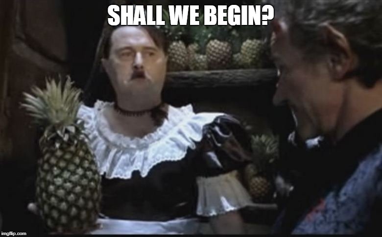Hitler Pineapple | SHALL WE BEGIN? | image tagged in hitler pineapple | made w/ Imgflip meme maker