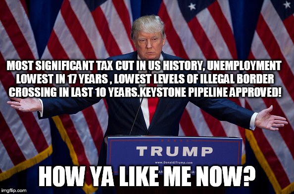 Donald Trump | MOST SIGNIFICANT TAX CUT IN US HISTORY, UNEMPLOYMENT LOWEST IN 17 YEARS , LOWEST LEVELS OF ILLEGAL BORDER CROSSING IN LAST 10 YEARS.KEYSTONE PIPELINE APPROVED! HOW YA LIKE ME NOW? | image tagged in donald trump | made w/ Imgflip meme maker