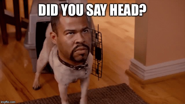 Gon gon | DID YOU SAY HEAD? | image tagged in gon gon | made w/ Imgflip meme maker