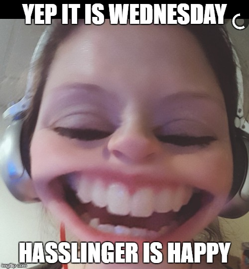 YEP IT IS WEDNESDAY; HASSLINGER IS HAPPY | image tagged in wednesday | made w/ Imgflip meme maker