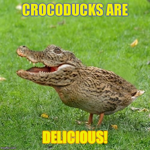 Magically | CROCODUCKS ARE; DELICIOUS! | image tagged in crocoduck,lucky charms,crocoduck cookie crunch cereal,quake memes | made w/ Imgflip meme maker