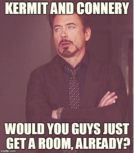 Make Love Not War | KERMIT AND CONNERY; WOULD YOU GUYS JUST GET A ROOM, ALREADY? | image tagged in memes,face you make robert downey jr,sean connery kermit,kermit vs connery,kermit vs connery war is back,inferno390 | made w/ Imgflip meme maker