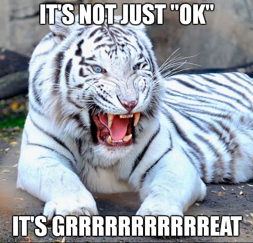 IT'S NOT JUST "OK"; IT'S GRRRRRRRRRRREAT | made w/ Imgflip meme maker