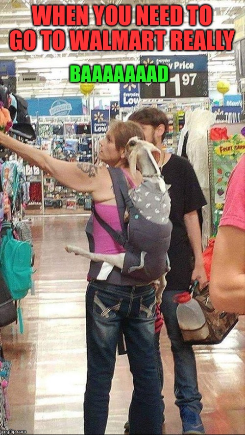 You know you love your goat when you have a diaper bag!  | WHEN YOU NEED TO GO TO WALMART REALLY; BAAAAAAAD | image tagged in goats,lol,walmart,lynch1979,memes | made w/ Imgflip meme maker