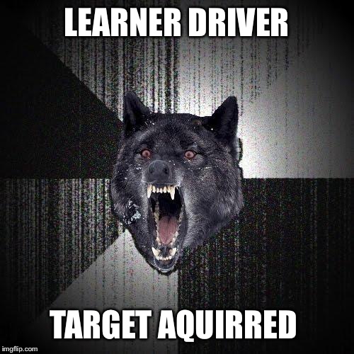 Insanity Wolf | LEARNER DRIVER; TARGET AQUIRRED | image tagged in memes,insanity wolf | made w/ Imgflip meme maker