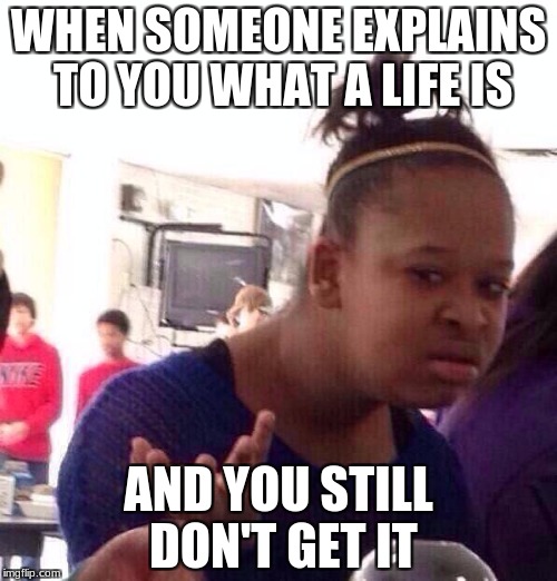 Black Girl Wat Meme | WHEN SOMEONE EXPLAINS TO YOU WHAT A LIFE IS; AND YOU STILL DON'T GET IT | image tagged in memes,black girl wat | made w/ Imgflip meme maker
