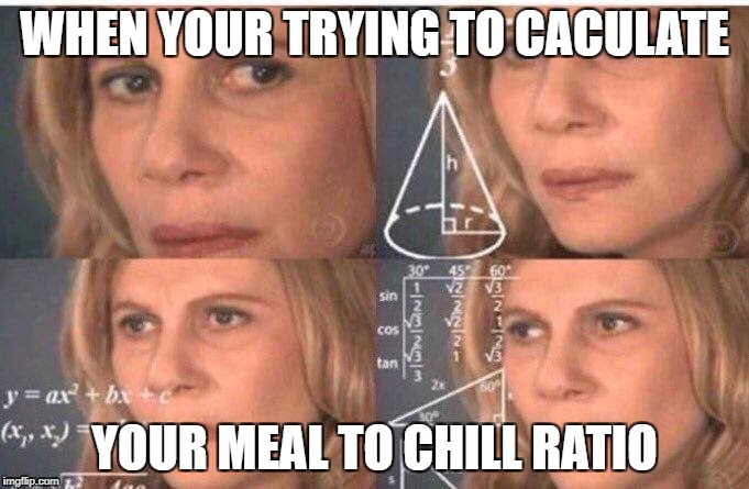 Equations | WHEN YOUR TRYING TO CACULATE; YOUR MEAL TO CHILL RATIO | image tagged in equations | made w/ Imgflip meme maker