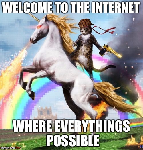 Welcome To The Internets Meme | WELCOME TO THE INTERNET; WHERE EVERYTHINGS POSSIBLE | image tagged in memes,welcome to the internets,scumbag | made w/ Imgflip meme maker