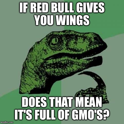 Philosoraptor Meme | IF RED BULL GIVES YOU WINGS; DOES THAT MEAN IT'S FULL OF GMO'S? | image tagged in memes,philosoraptor | made w/ Imgflip meme maker