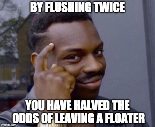toilet poster | BY FLUSHING TWICE; YOU HAVE HALVED THE ODDS OF LEAVING A FLOATER | image tagged in roll safe toilet poster | made w/ Imgflip meme maker