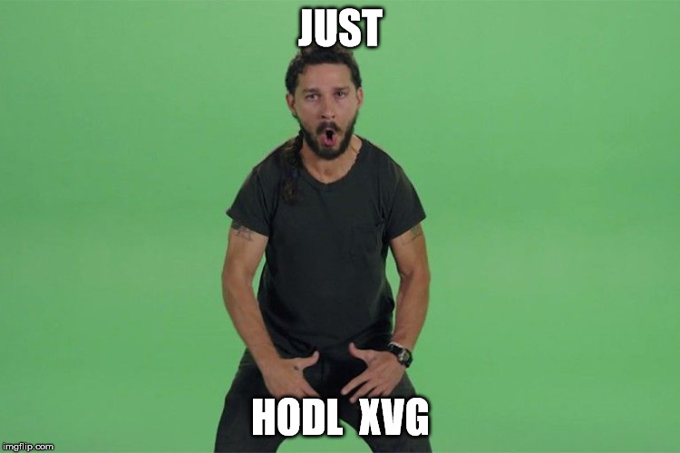 Shia labeouf JUST DO IT | JUST; HODL 
XVG | image tagged in shia labeouf just do it | made w/ Imgflip meme maker