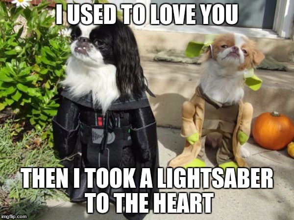 Lightsaber to the Heart | I USED TO LOVE YOU; THEN I TOOK A LIGHTSABER TO THE HEART | image tagged in star wars,best,love it | made w/ Imgflip meme maker