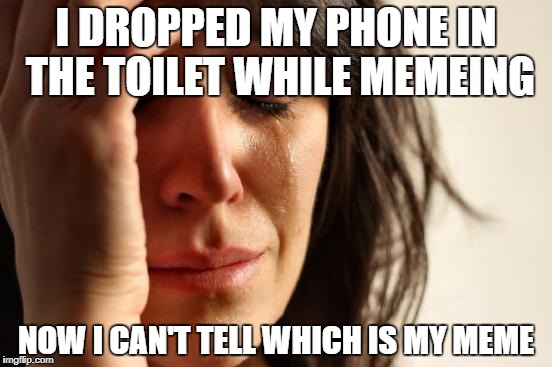 First World Problems Meme | I DROPPED MY PHONE IN THE TOILET WHILE MEMEING NOW I CAN'T TELL WHICH IS MY MEME | image tagged in memes,first world problems | made w/ Imgflip meme maker