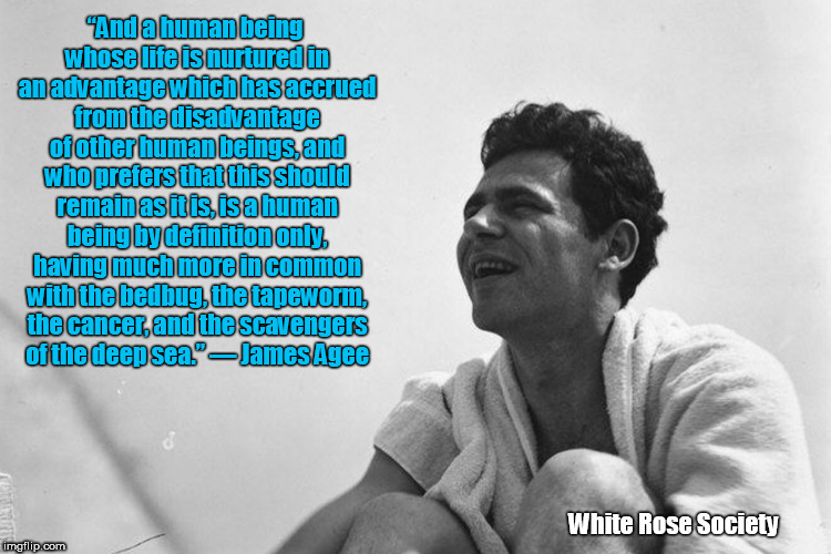 James Agee | “And a human being whose life is nurtured in an advantage which has accrued from the disadvantage of other human beings, and who prefers that this should remain as it is, is a human being by definition only, having much more in common with the bedbug, the tapeworm, the cancer, and the scavengers of the deep sea.”
― James Agee; White Rose Society | image tagged in human rights | made w/ Imgflip meme maker