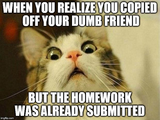 Scared Cat Meme | WHEN YOU REALIZE YOU COPIED OFF YOUR DUMB FRIEND; BUT THE HOMEWORK WAS ALREADY SUBMITTED | image tagged in memes,scared cat | made w/ Imgflip meme maker