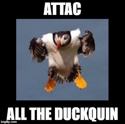 ATTAC ALL THE DUCKQUIN | made w/ Imgflip meme maker
