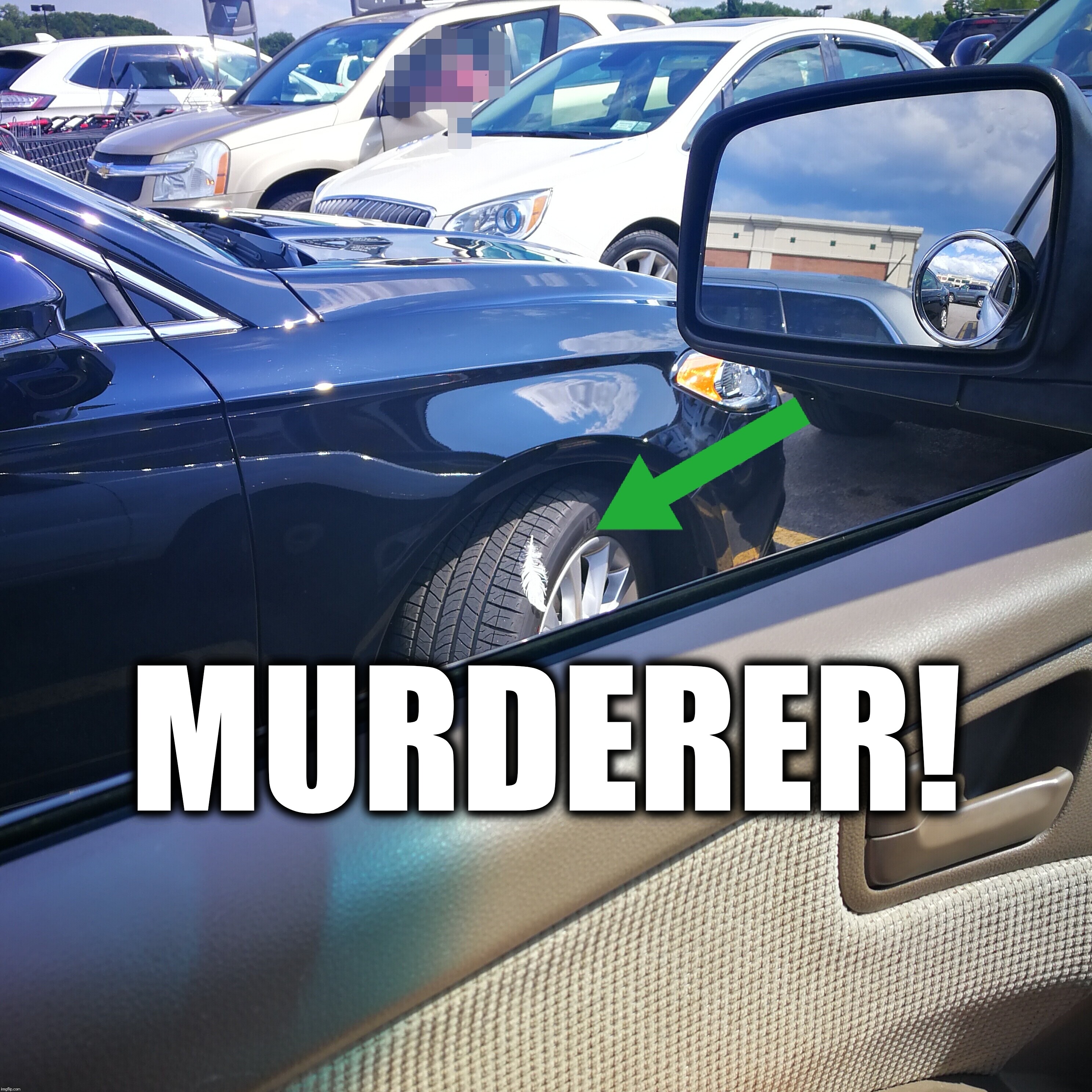 Bird Killer!  | MURDERER! | image tagged in funny,bird,car,murderer | made w/ Imgflip meme maker